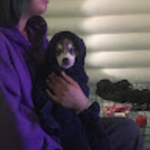 Meet your Posher, Olivia - Picture 1 of 1